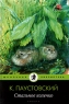 Стальное колечко (в комплекте из 15 книг) Серия: Школьная библиотека Начальные классы Комплект инфо 2574b.